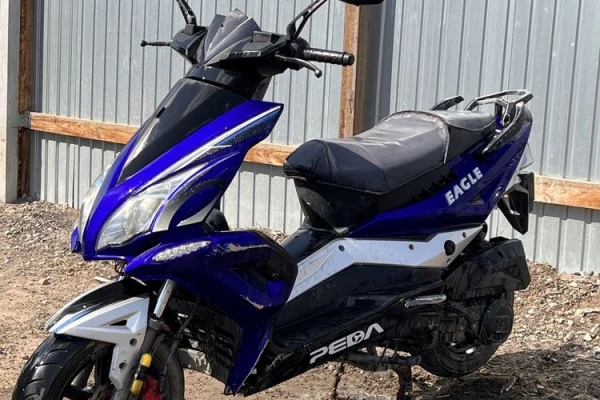 2020 Peda Eagle