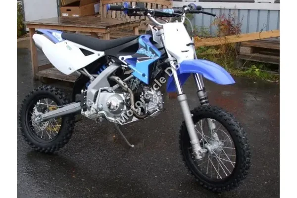 2010 Polini XP 4T Cross