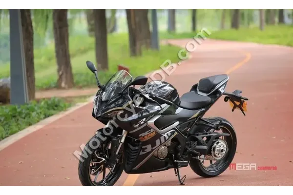 2021 Qjmotor QJ250-9