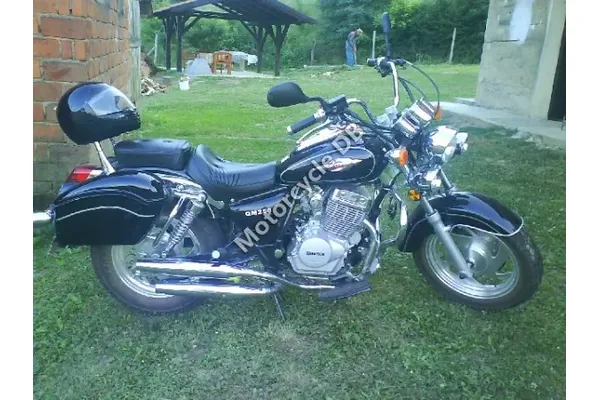 2008 Qingqi QM250 @e4