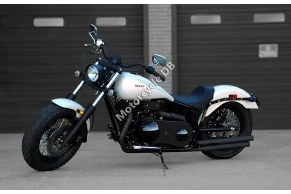 2008 Ridley AutoGlide Trike