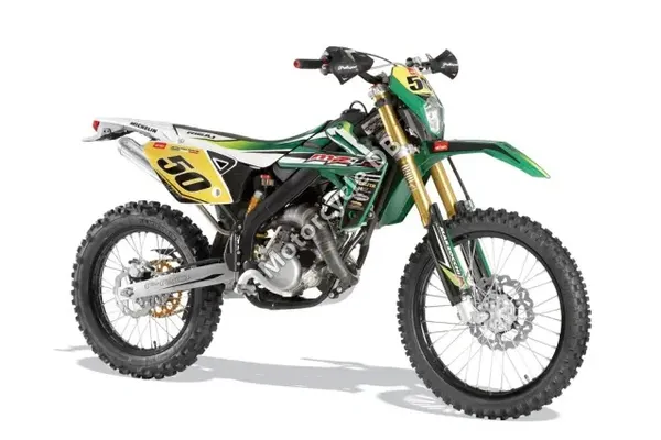 2010 Rieju e-Bicy Alu