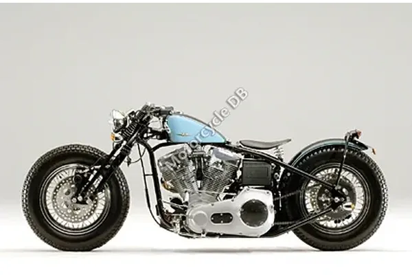 2009 Road Hopper