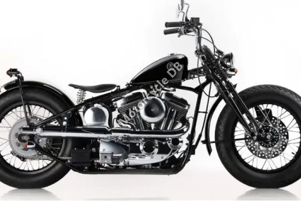 2023 Road Hopper Type 2I