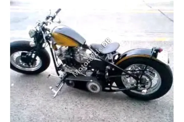 2009 Road Hopper Type 5