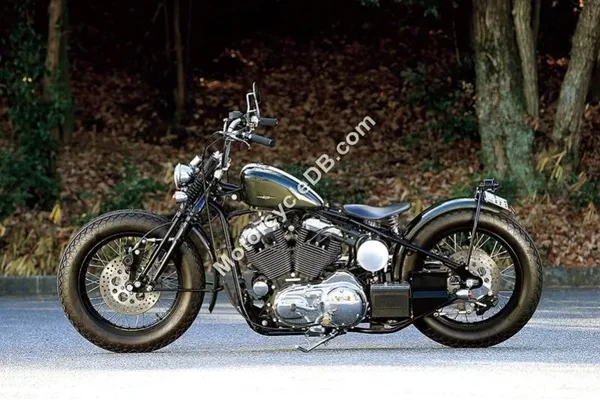 2022 Road Hopper TYPE2I