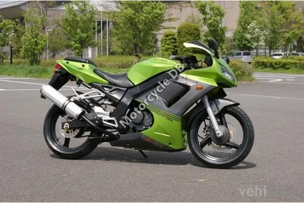 2008 Sachs Bee (Funky)