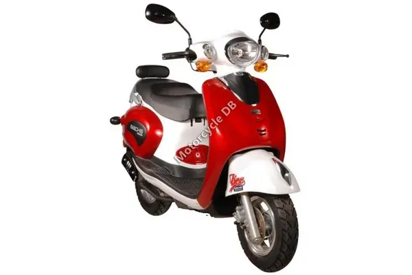 2011 Sachs Bee 125