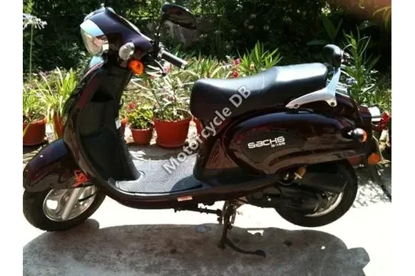 2010 Sachs Bee 50
