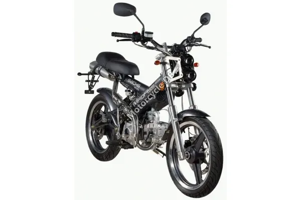 2007 Sachs MadAss 125