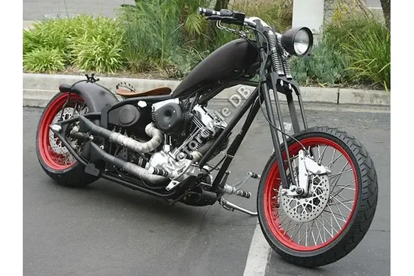 2009 Saxon Crown