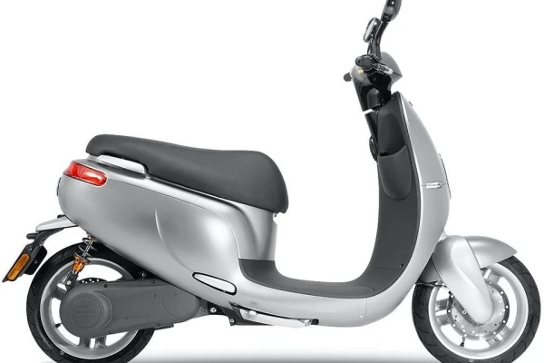 2021 Saxxx Ecooter E1S