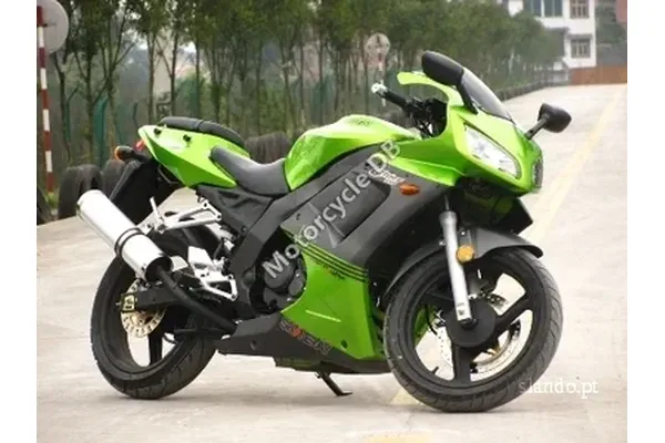 2008 Shineray XY250-5