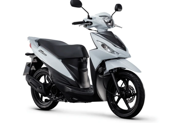 2021 Suzuki Address 110