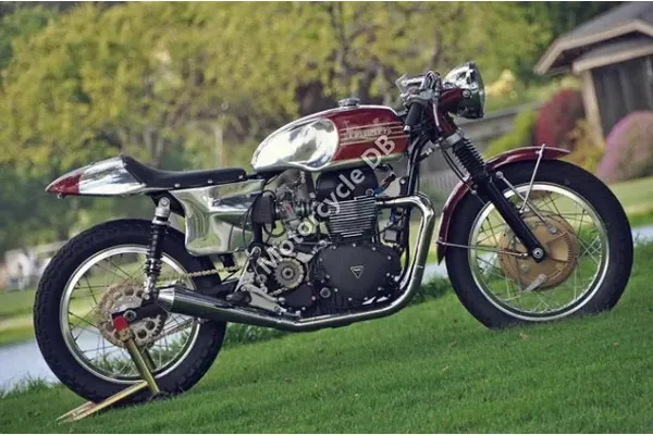 1981 Suzuki GT 250/x 7 E (Spoked Wheels)