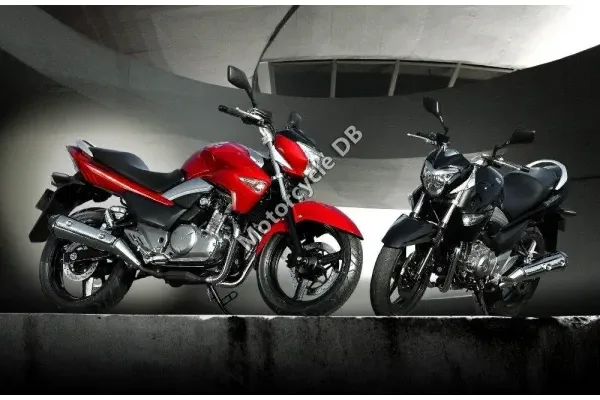 2013 Suzuki Inazuma 250