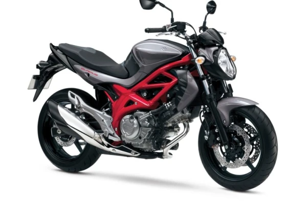 2019 Suzuki SFV650 ABS