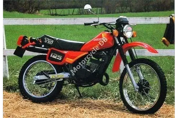 1980 Suzuki TS 125 ER