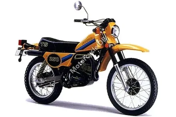 1981 Suzuki TS 250 ER