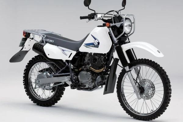 2021 Suzuki Trojan