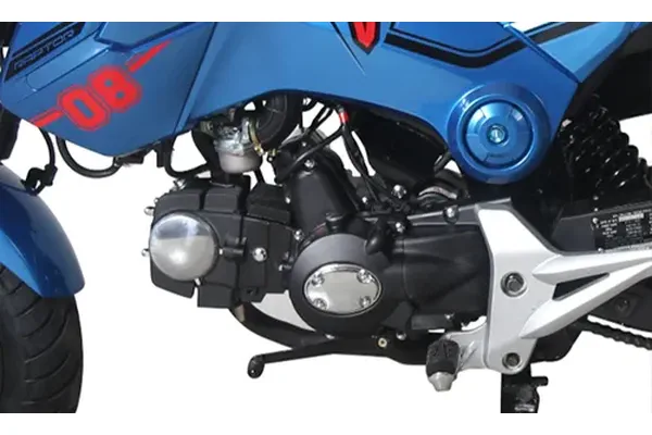 2021 Tao Motor Hellcat 125
