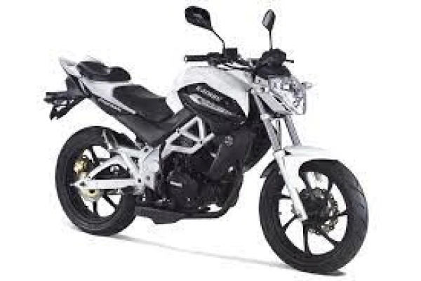 2021 UM Xtreet R