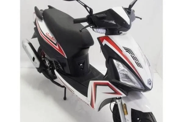 2021 Vastro 50 Gecko