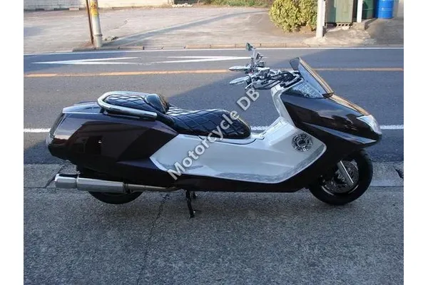 2011 Yamaha CP250 Maxam