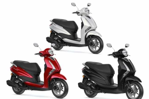 2021 Yamaha Delight