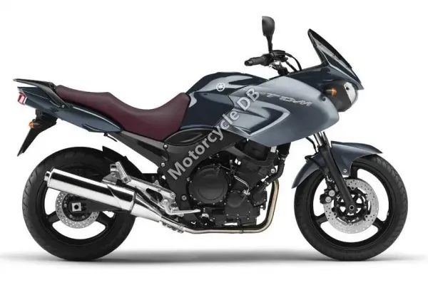 2010 Yamaha TDM 900A