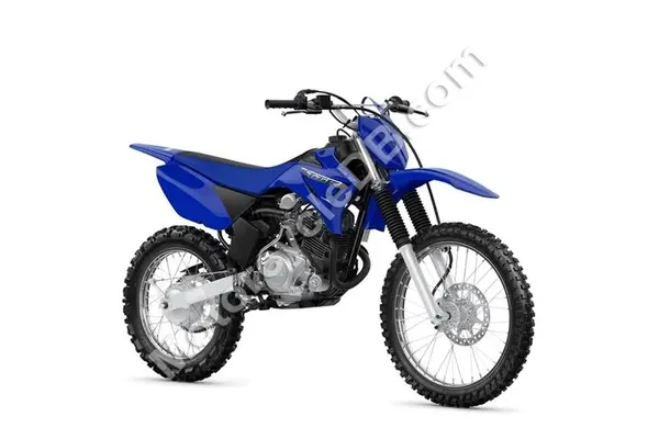 2021 Yamaha TT-R110E