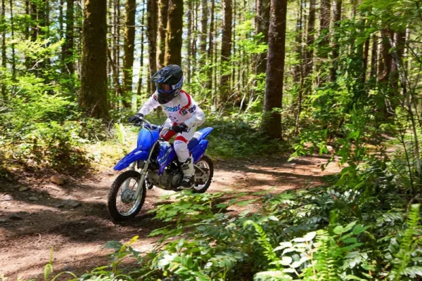 2026 Yamaha TT-R110