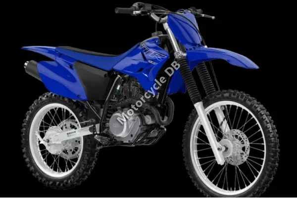 2024 Yamaha TT-R230