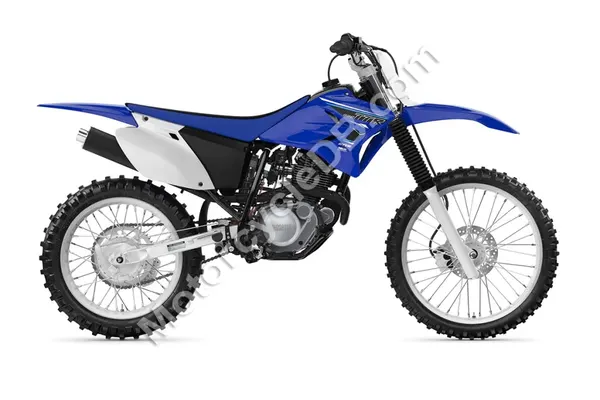 2021 Yamaha TT-R230