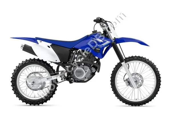 2019 Yamaha TT-R230