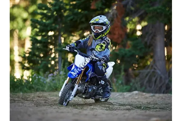 2014 Yamaha TT-R50E