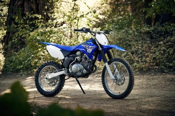 2019 Yamaha TT-R125LWE