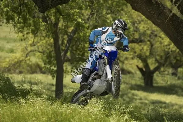 2019 Yamaha WR450F