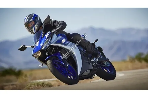 2015 Yamaha YZF-R3