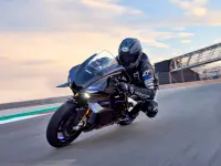 Yamaha YZF-R1 2025 73960 Thumb