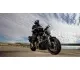 2009 Yamaha MT-01 - photo 4