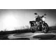 2009 Yamaha MT-01 - photo 6