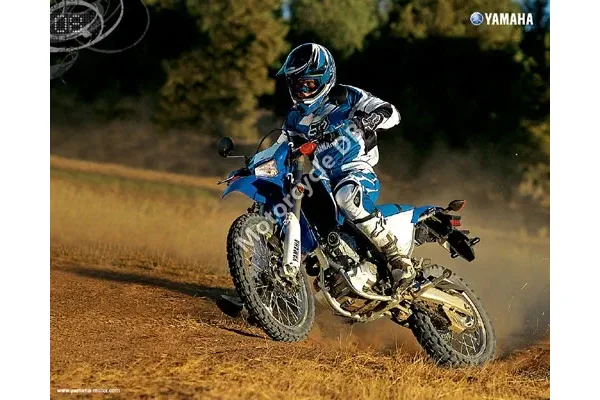 2008 Yamaha WR250R