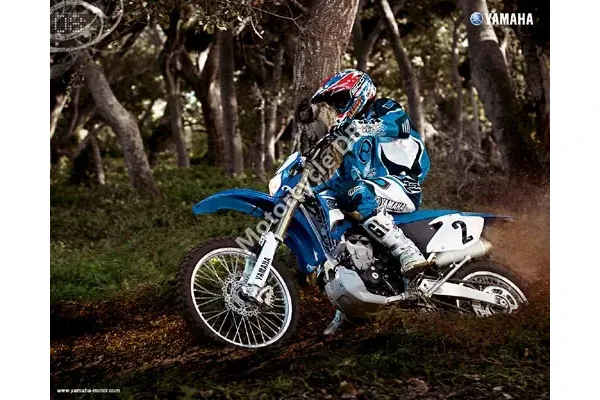 2008 Yamaha WR450F