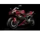 2007 Yamaha YZF-R1 - photo 3