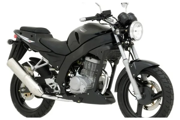 2011 Shineray XY-125 11