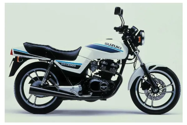 1986 Suzuki GNX 250 E