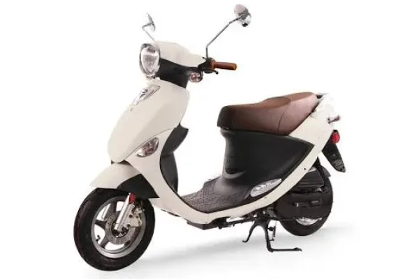 2027 Genuine Scooter Buddy 50