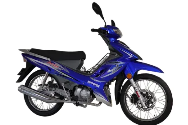 2009 Nipponia Brio 125
