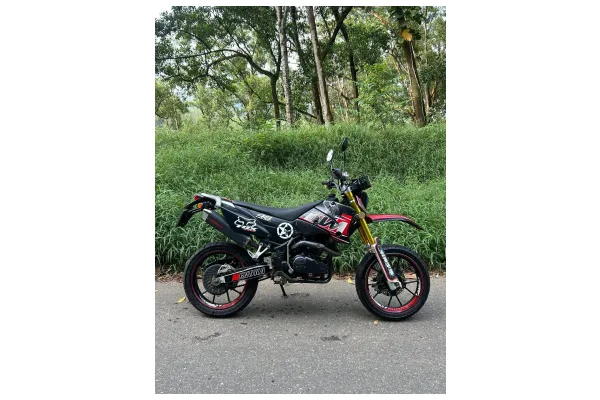 2018 Demak DTM 150